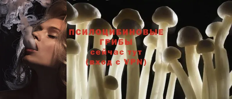 Галлюциногенные грибы Cubensis  мега зеркало  Татарск 